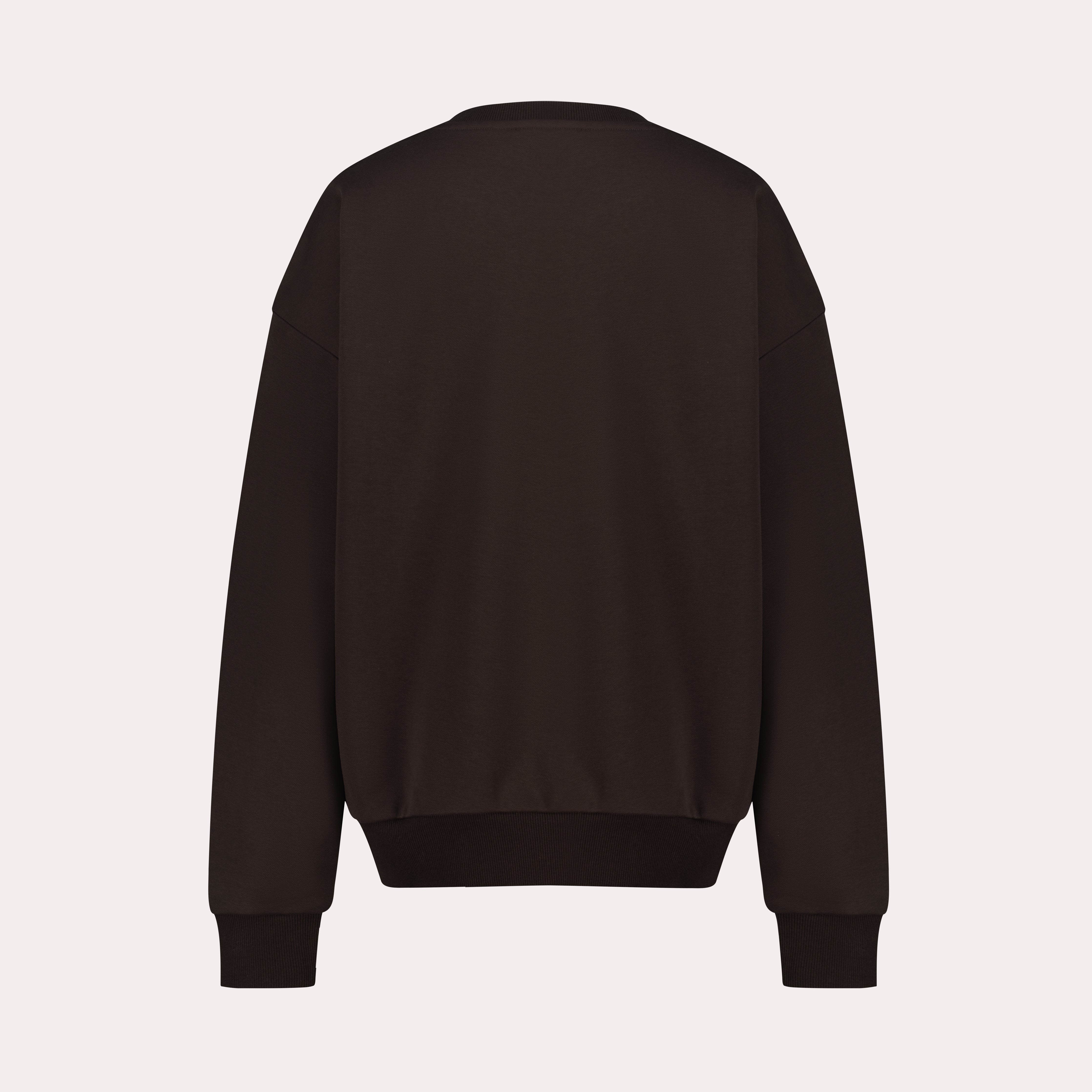 Retreat Crewneck Sweatshirt - Brown